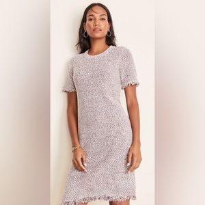 Ann Taylor Knit Dusty Pink Short-Sleeve Dress